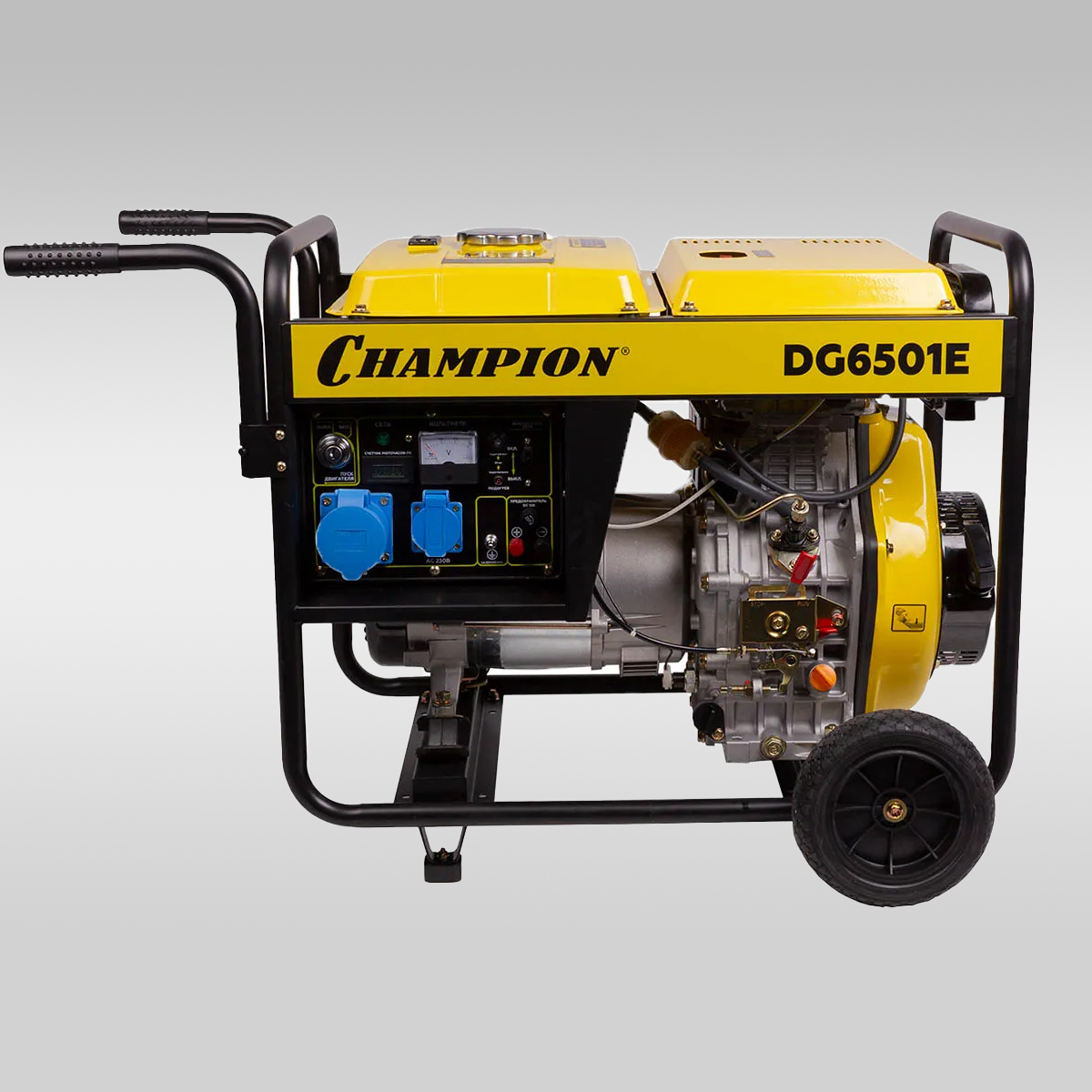 Champion DG6501E